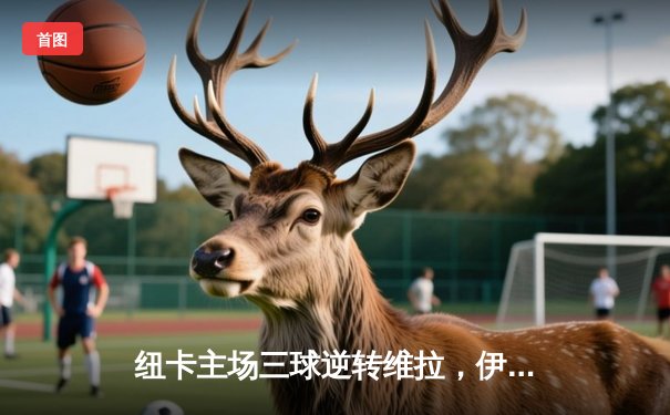 纽卡主场三球逆转维拉，伊萨克双响闪耀圣詹姆斯公园