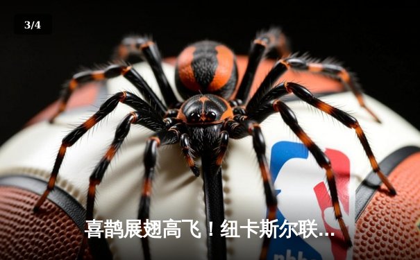 喜鹊展翅高飞！纽卡斯尔联主场大胜，新援闪耀圣詹姆斯公园 - 3